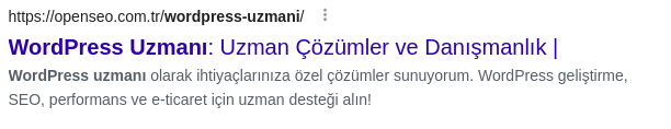WordPress SEO: Sitenizi Zirveye Taşıyacak Kapsamlı Rehber 4 baslik meta aciklama