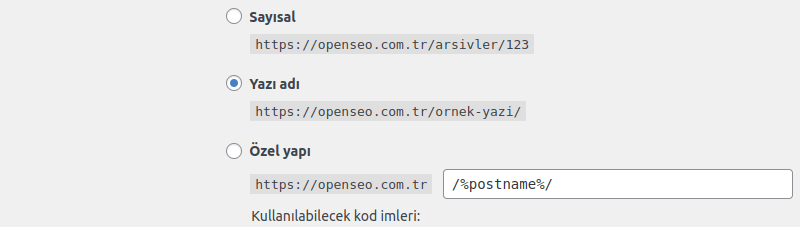 WordPress SEO: Sitenizi Zirveye Taşıyacak Kapsamlı Rehber 1 kalici baglanti